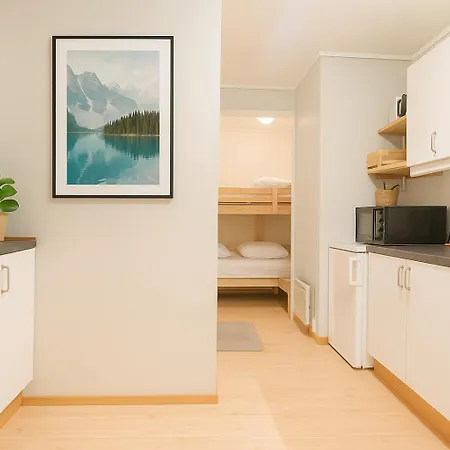 Apartment Delightful Bryggen - Norwegians Minimum Age 25 Bergen